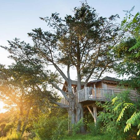 La Gree Des Landes - Eco-Hotel-Spa Yves Rocher La Gacilly Buitenkant foto