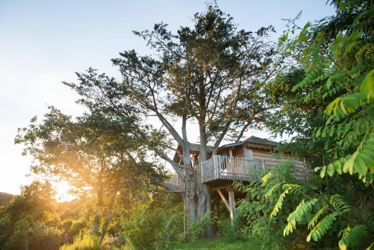 La Gree Des Landes - Eco-Hotel-Spa Yves Rocher La Gacilly Buitenkant foto